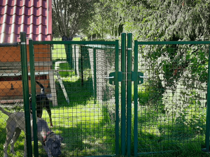 Groene-draadafsluiting-met-twee-poorten