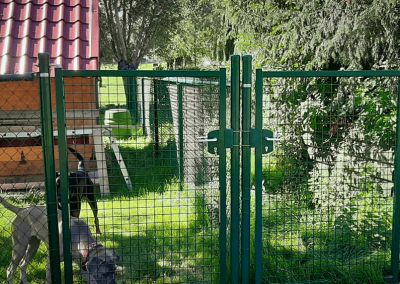 Groene-draadafsluiting-met-twee-poorten