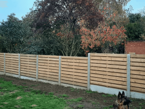 Tuinafsluiting-Houten-schermen-tussen-betonnen-palen-en-hond