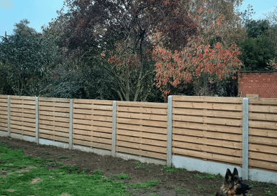 Tuinafsluiting-Houten-schermen-tussen-betonnen-palen-en-hond