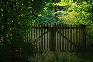 mdl-hekwerken-home