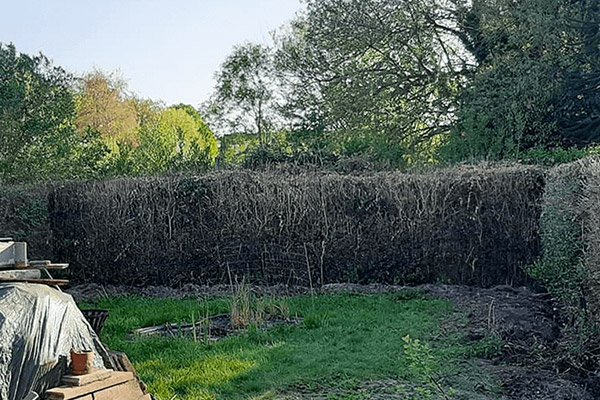 tuinafbraak en hagen verwijderen
