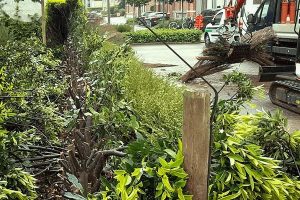 Mdl hekwerken tuinafbraak